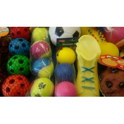 Dog toys bundle