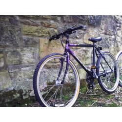Diamond Back mountain bike - light frame