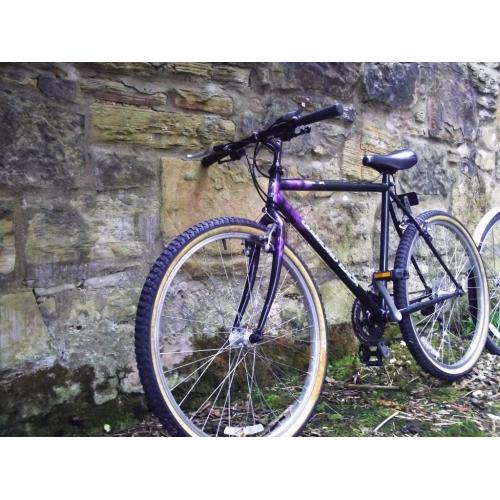 Diamond Back mountain bike - light frame