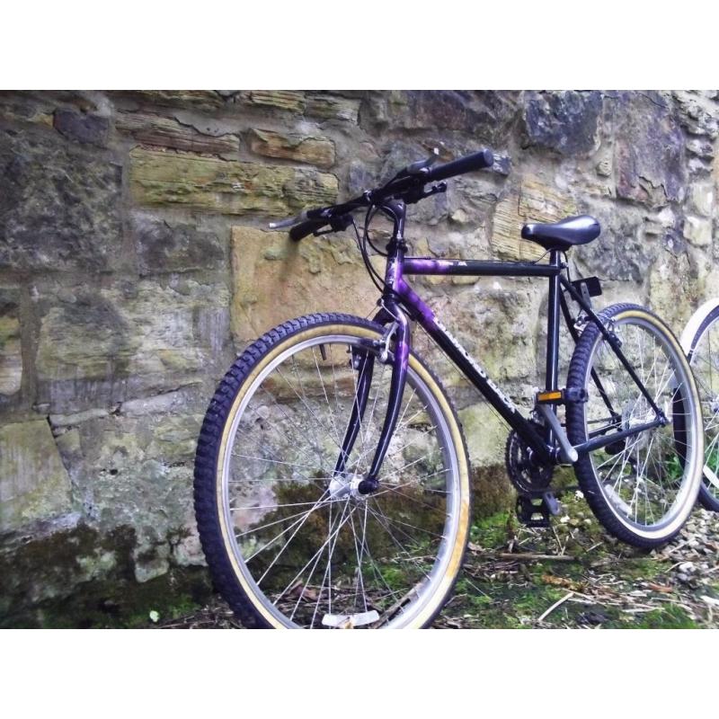 Diamond Back mountain bike - light frame