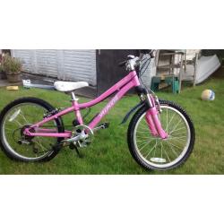 Girl's Specialised Hotrock 20 - would suit 7-9 year old
