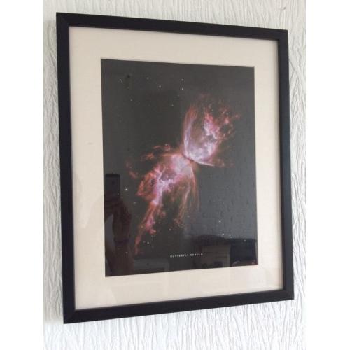 Butterfly nebula print