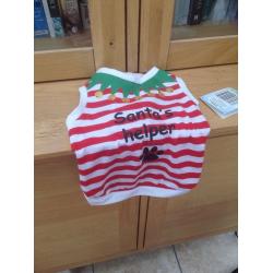 DOGGIE CHRISTMAS JUMPER