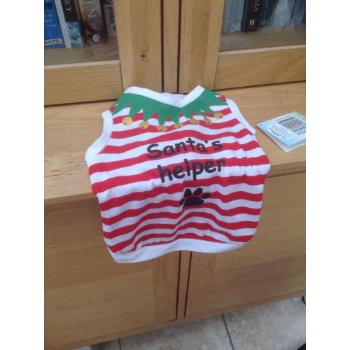 DOGGIE CHRISTMAS JUMPER