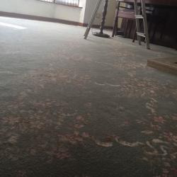 Carpet for sale 15/19ft