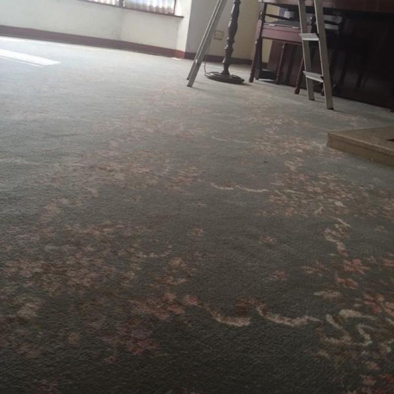 Carpet for sale 15/19ft