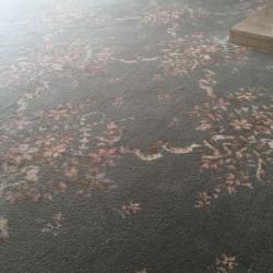Carpet for sale 15/19ft