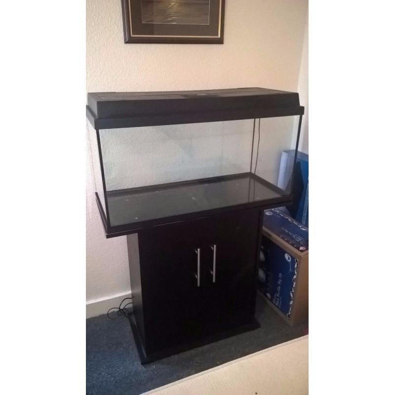 Fish Tank for Sale