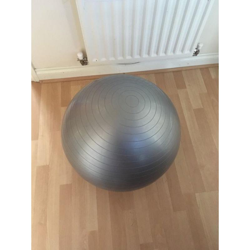 Exercise ball large