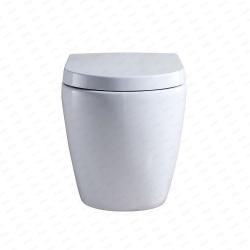 WC Wall Hung with Concealed Cistern