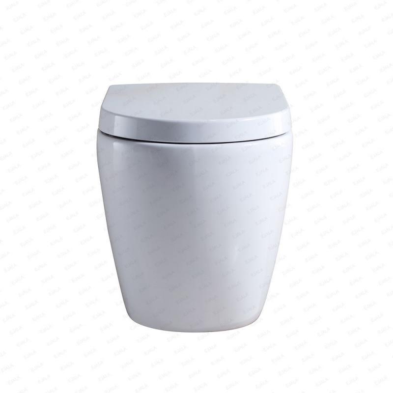 WC Wall Hung with Concealed Cistern