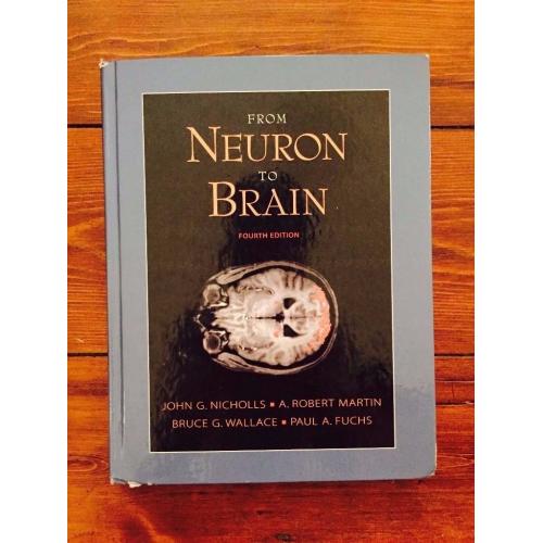 From Neuron to Brain, Fourth Edition 4th, John G. Nicholls et al.