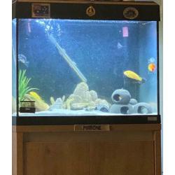 Fluval 90 Roma