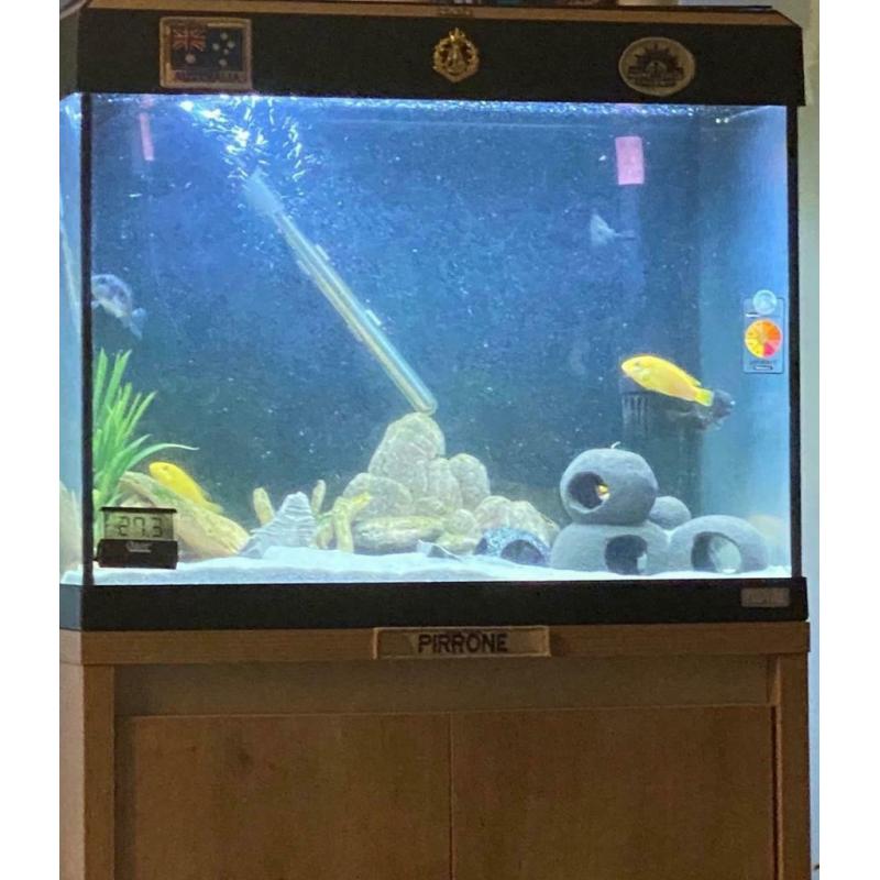 Fluval 90 Roma