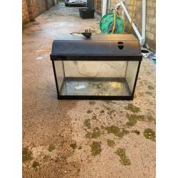 40l fish tank