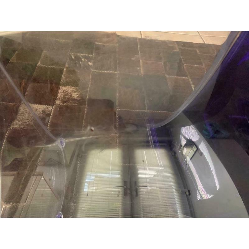 Used fish tank with accessories