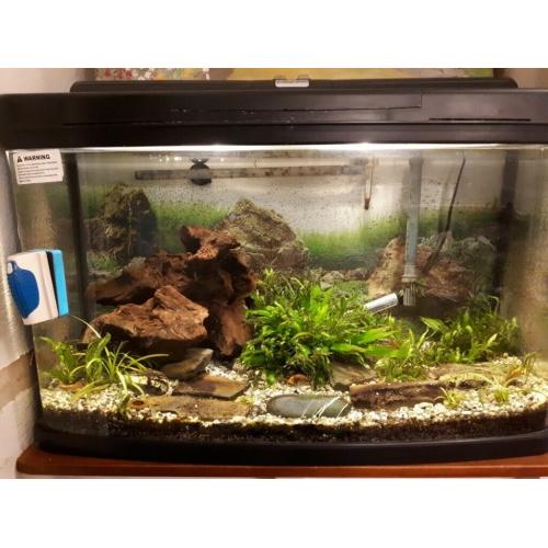 Aquarium for sale