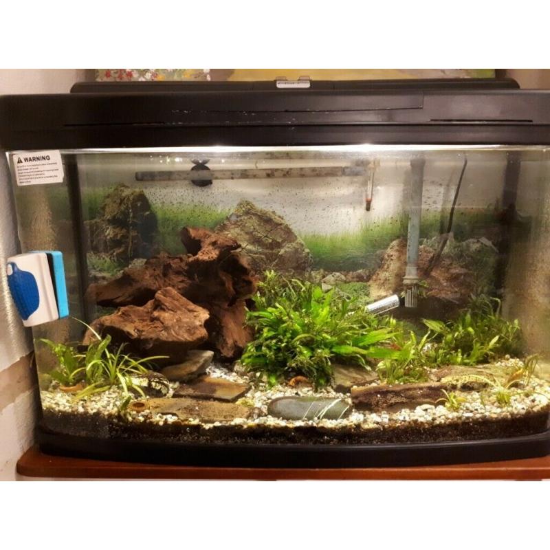 Aquarium for sale
