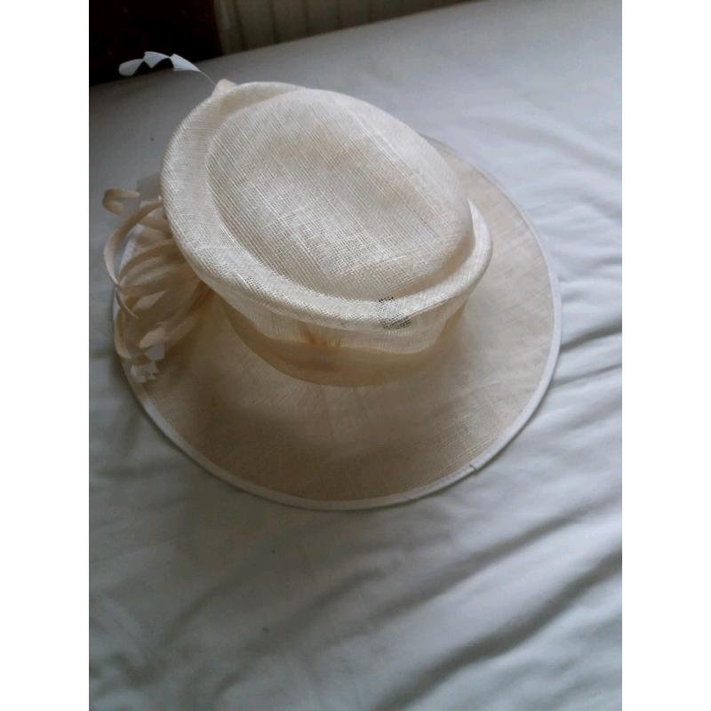 Wedding/ races hat