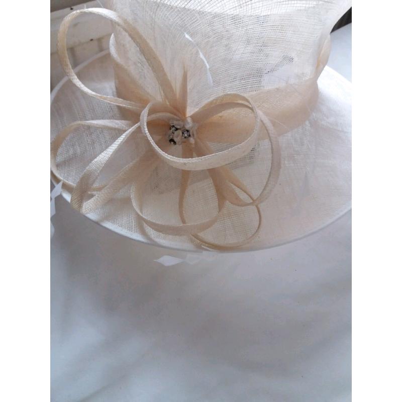 Wedding/ races hat