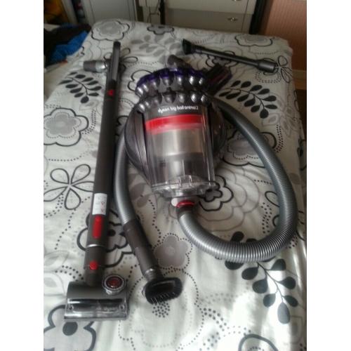 dyson ball animal 2