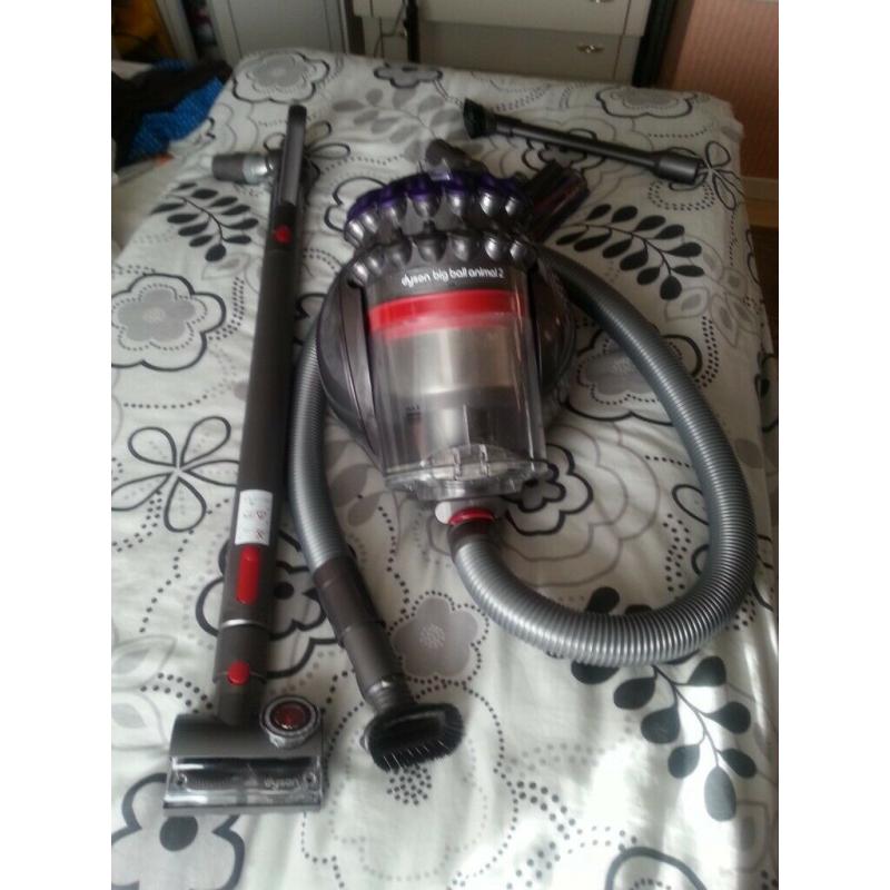 dyson ball animal 2