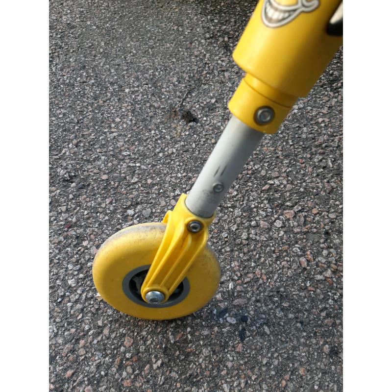 Yellow scuttlebug
