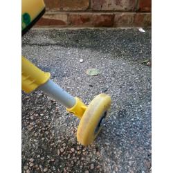 Yellow scuttlebug