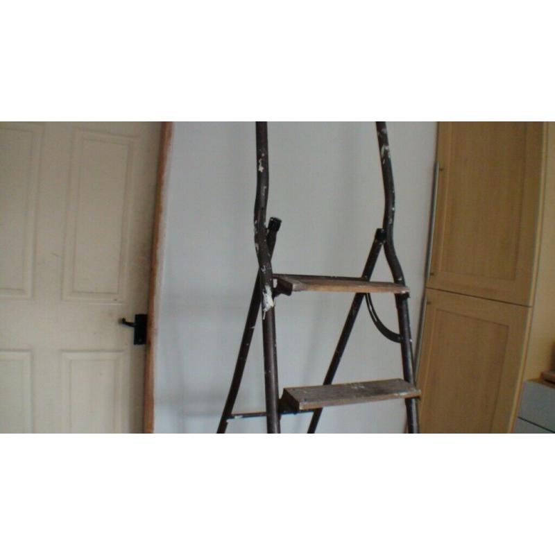 Set of Ladders