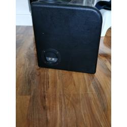 Twin car Subwoofer