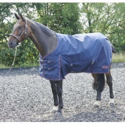 Rastrick 200g Turnout Rug