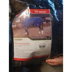 Rastrick 200g Turnout Rug