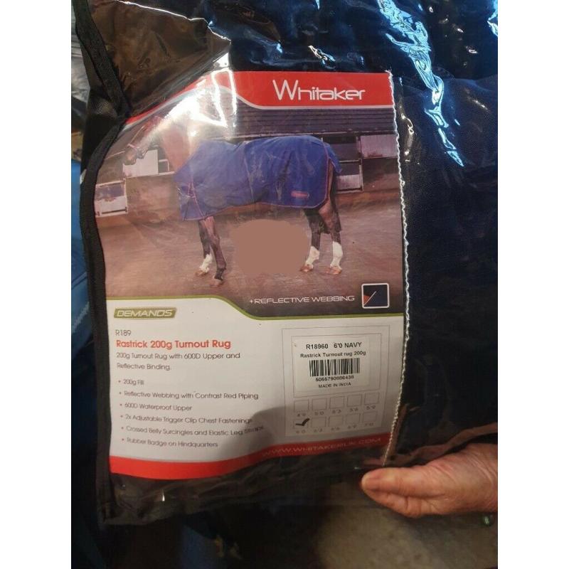 Rastrick 200g Turnout Rug
