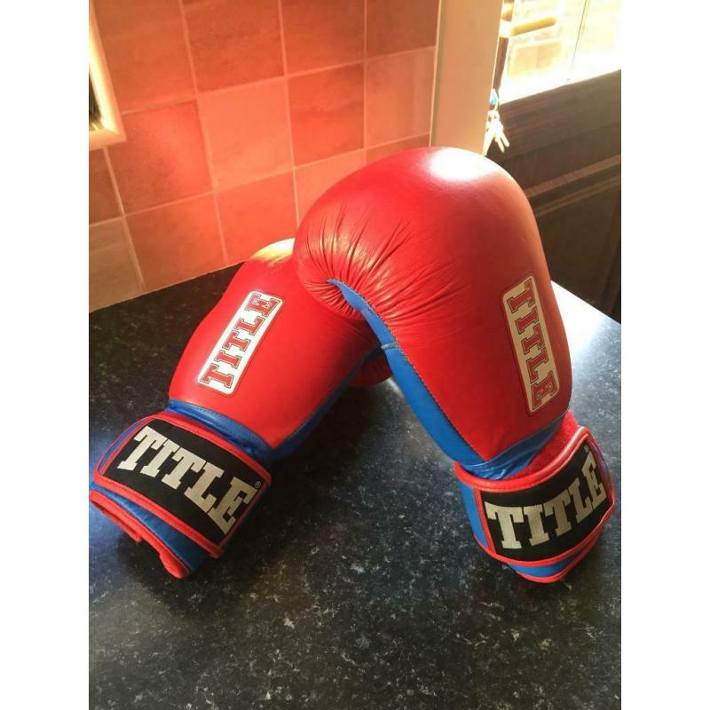 Pair Of Boxing Gloves