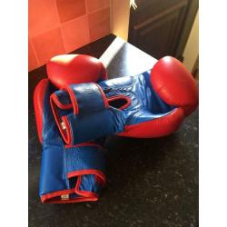 Pair Of Boxing Gloves