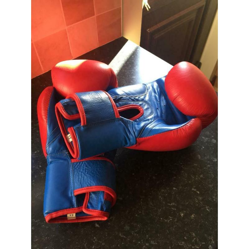 Pair Of Boxing Gloves