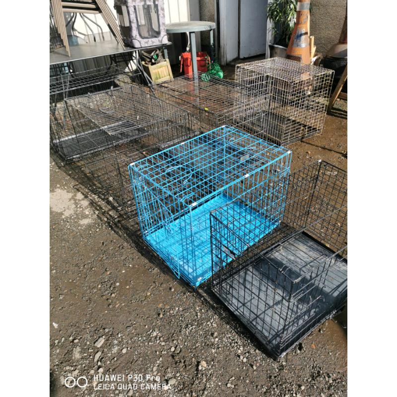 Dog cages