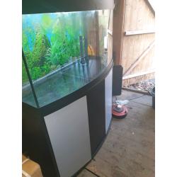 Fish tank and fluval filter