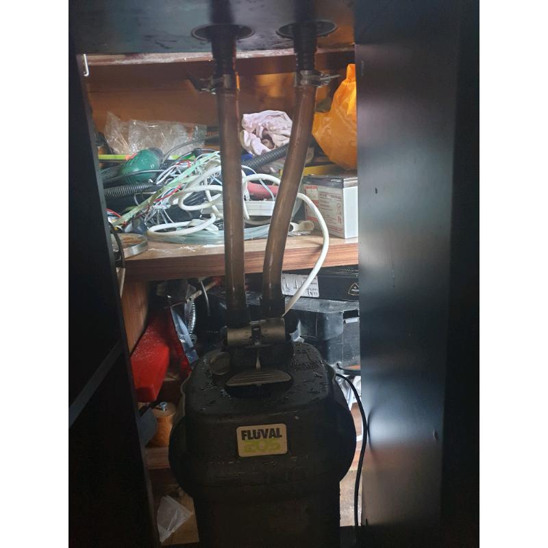 Fish tank and fluval filter