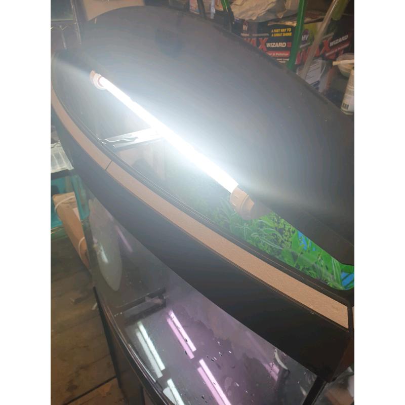 Fish tank and fluval filter