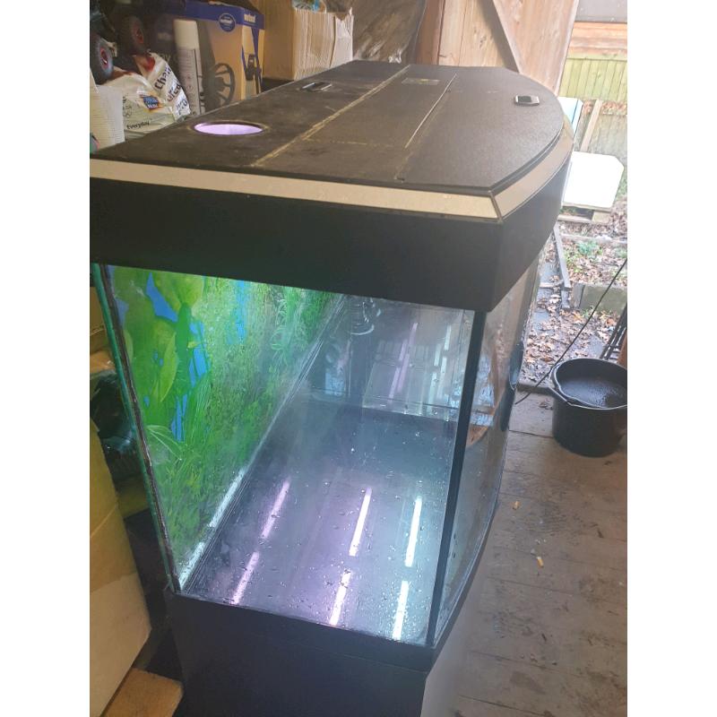 Fish tank and fluval filter