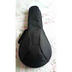 Folk Instrument - Domra (Russian)