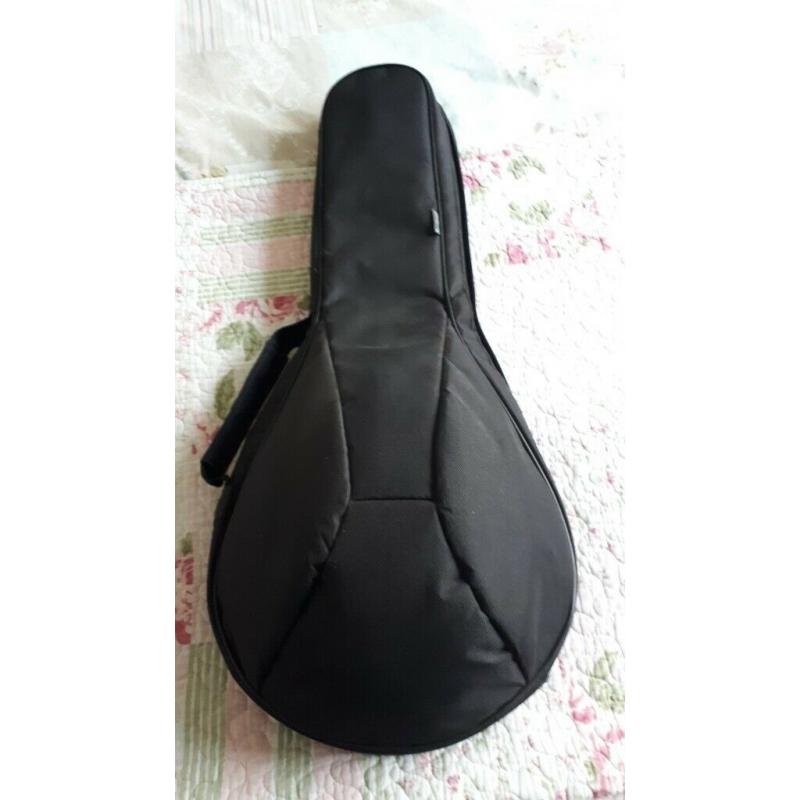 Folk Instrument - Domra (Russian)