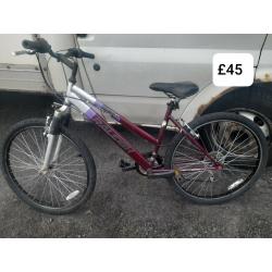 Raleigh explore mt20 mountain bike