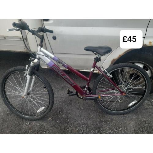 Raleigh explore mt20 mountain bike