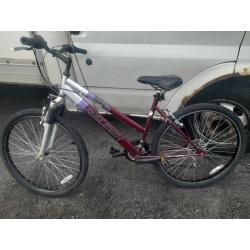 Raleigh explore mt20 mountain bike