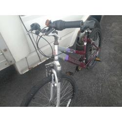 Raleigh explore mt20 mountain bike