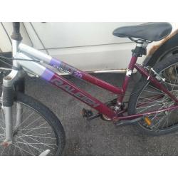 Raleigh explore mt20 mountain bike