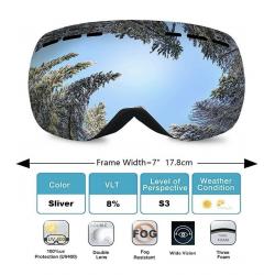 Ski goggles