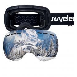 Ski goggles